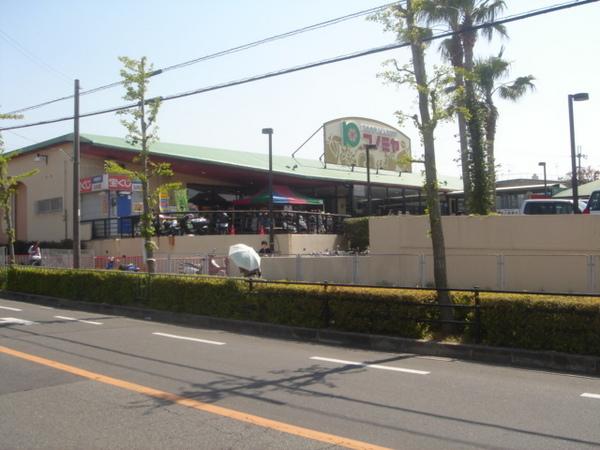 アンビエンテ茱萸木(コノミヤ狭山店)