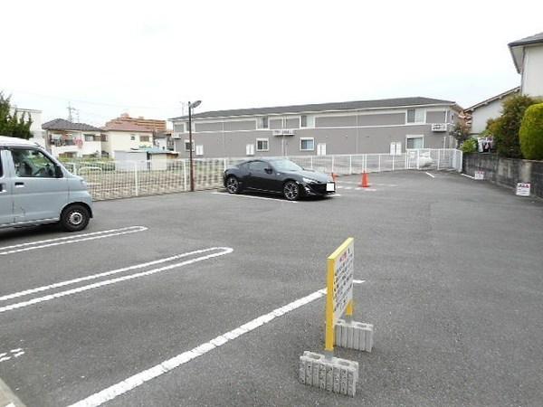 シェーネ　エレガンシア