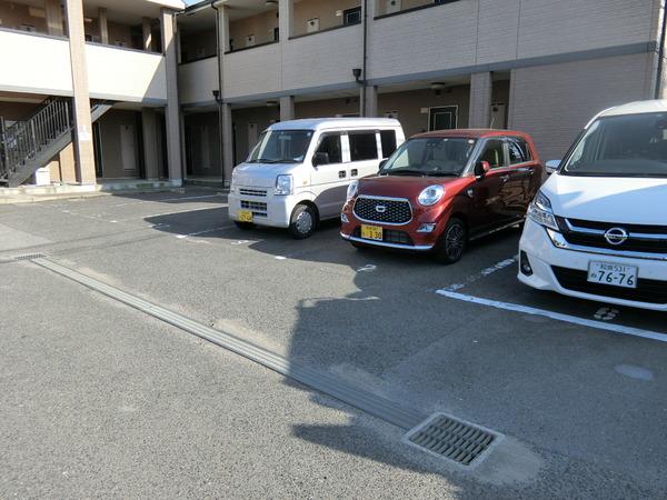 シエル金剛