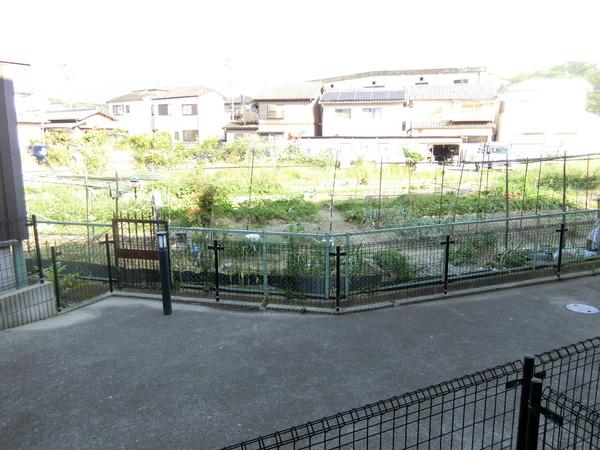 シエル金剛