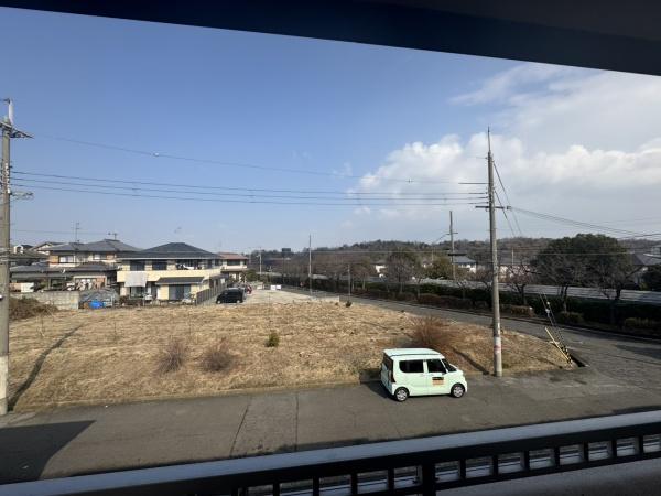 パインアベニュー