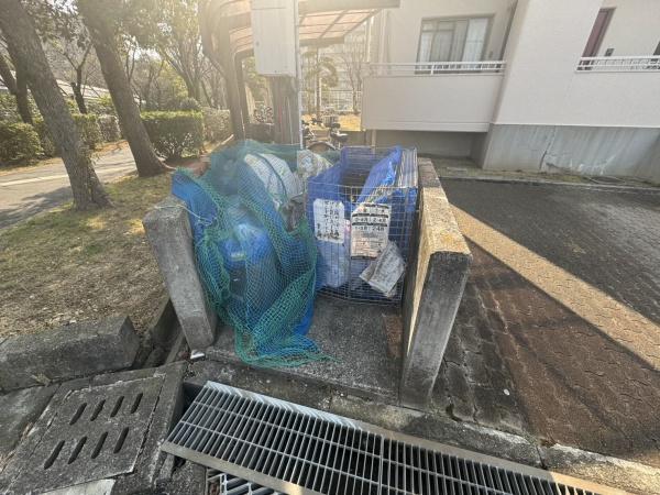 パインアベニュー