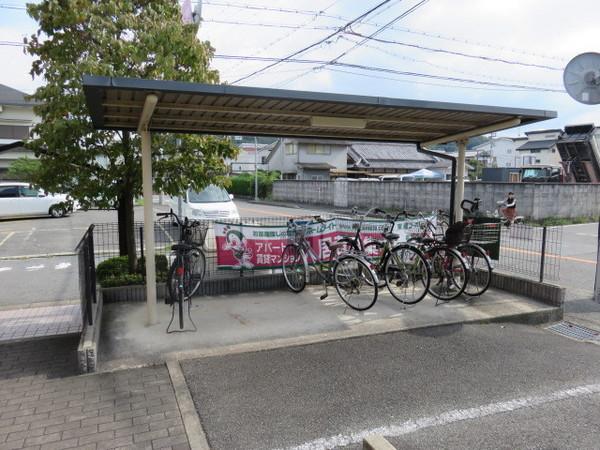 ＭＡＴＳＵＫＡＺＥ