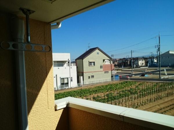 クラール・ミルト　Ｆ．Ｕ