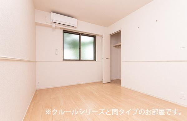 ビーナスベルト