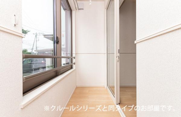 ビーナスベルト