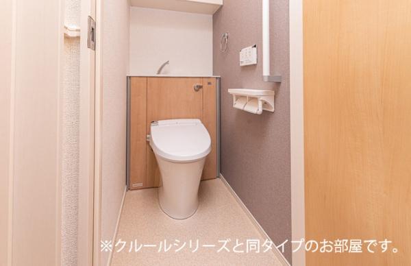 ビーナスベルト
