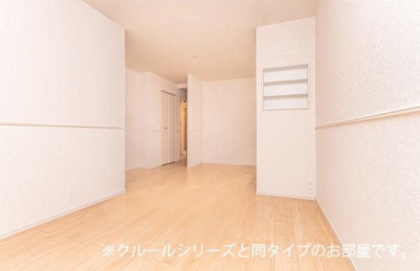 ビーナスベルト
