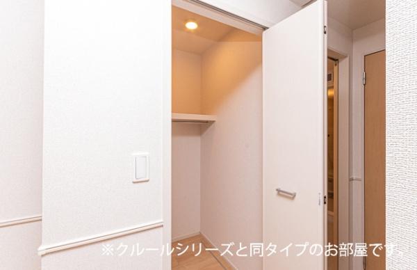 ビーナスベルト