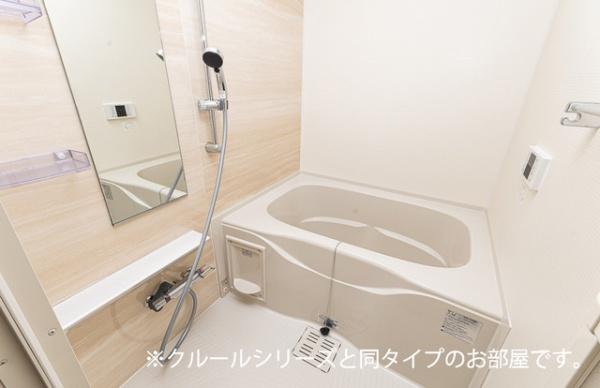 ビーナスベルト
