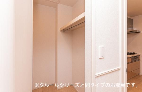 ビーナスベルト