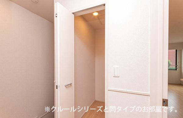 ビーナスベルト