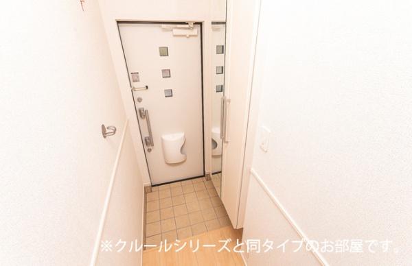 ビーナスベルト