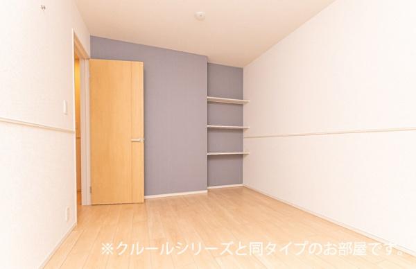 ビーナスベルト