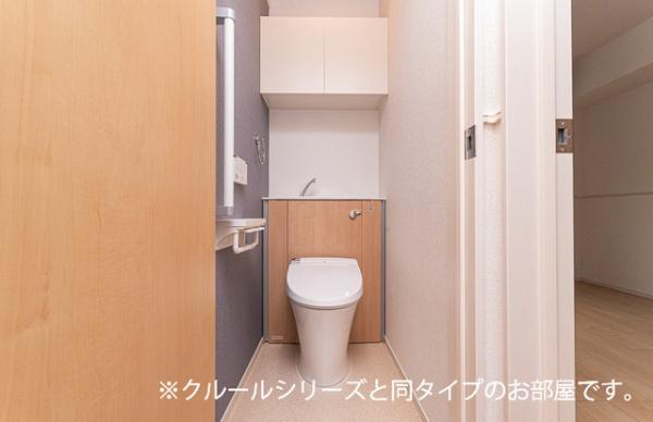ビーナスベルト