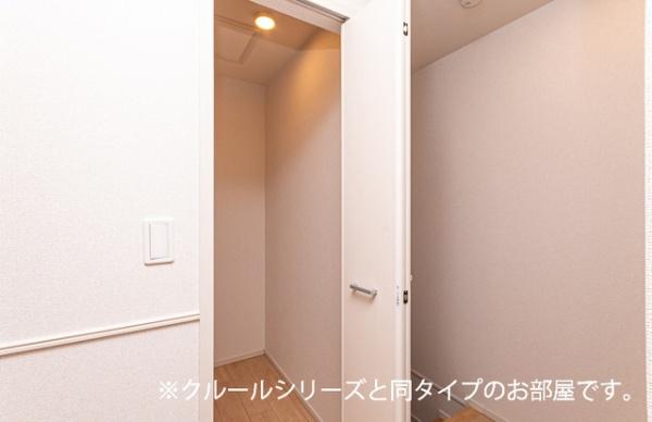 ビーナスベルト
