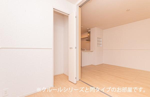 ビーナスベルト