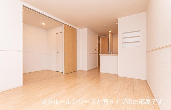 ビーナスベルト