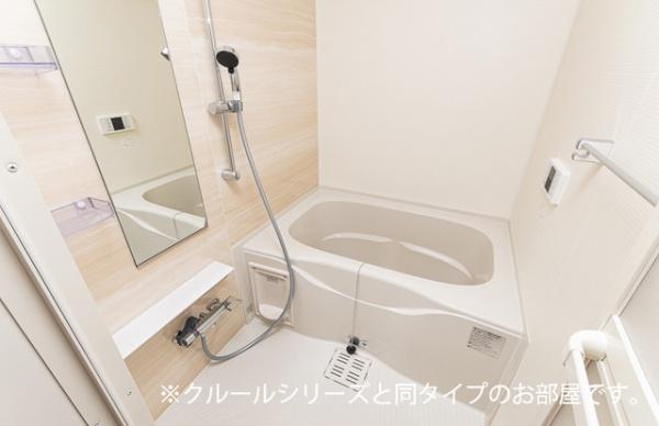 ビーナスベルト