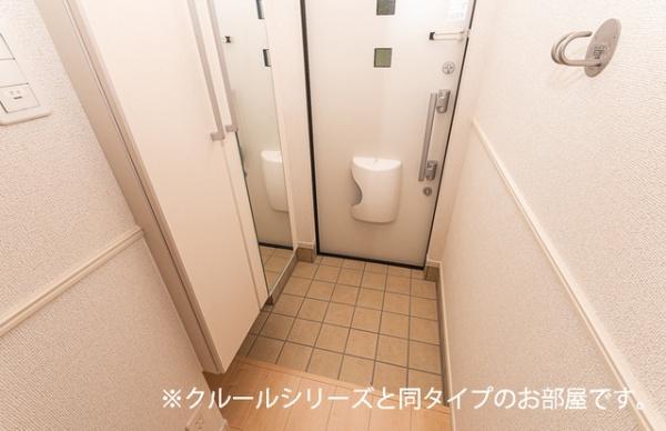 ビーナスベルト