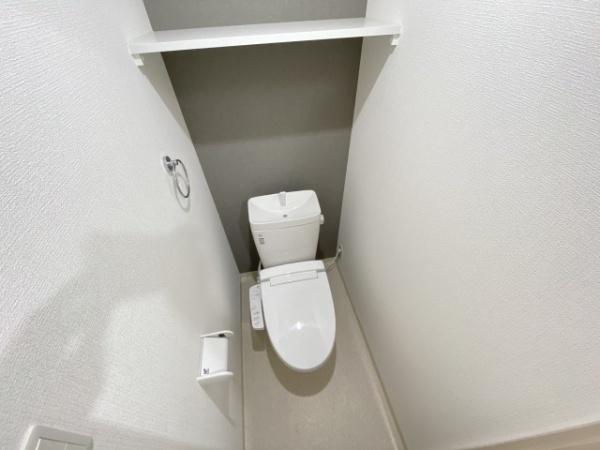 Ｄ　ｐｏｒｔａ　ｃａｃｔｏ