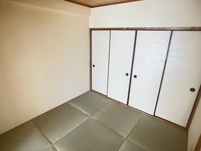 ウィスタリア藤