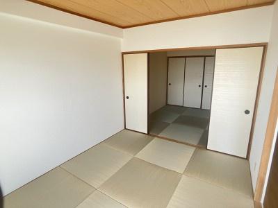 ウィスタリア藤