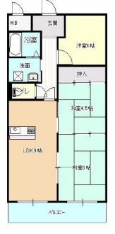 ウィスタリア藤