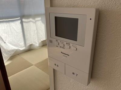 ウィスタリア藤