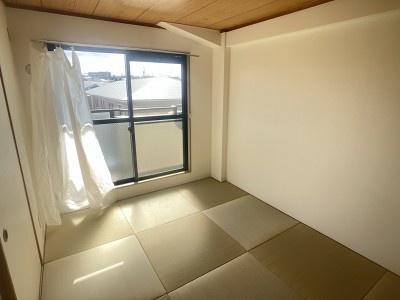 ウィスタリア藤