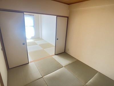 ウィスタリア藤