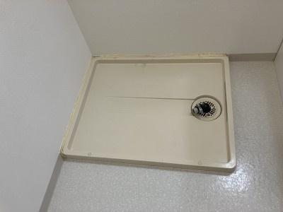 ウィスタリア藤