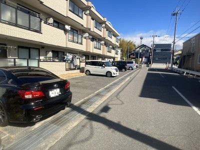 ウィスタリア藤