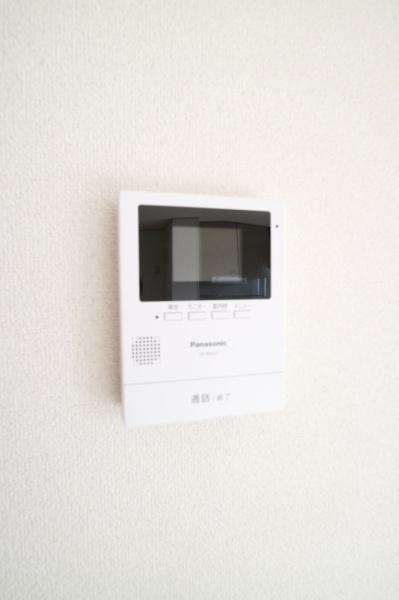 ゼヒランサス　Ａ
