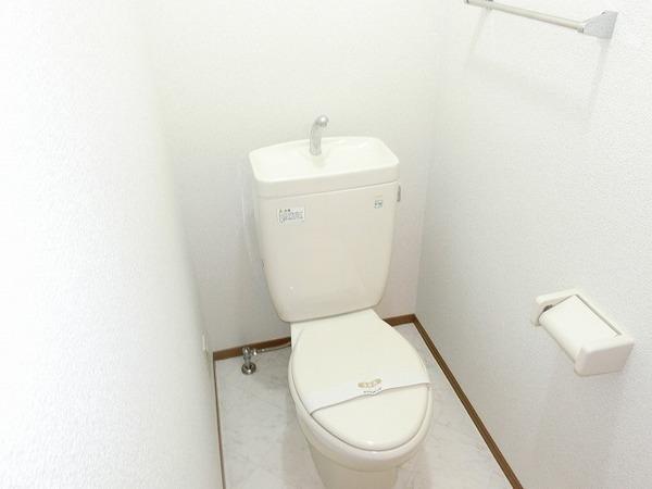 ゼヒランサス　Ａ