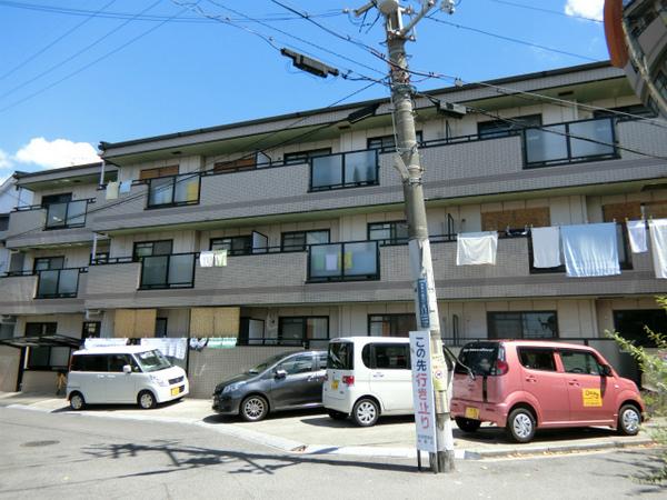 シェモア高見