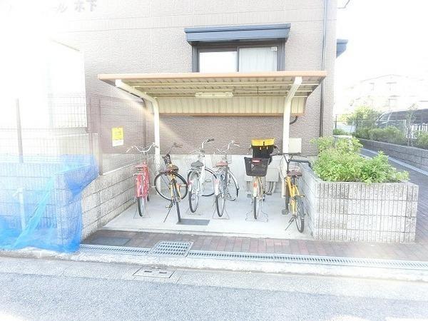 ハイカムール木下
