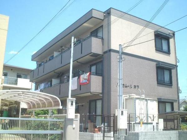 ハイカムール木下
