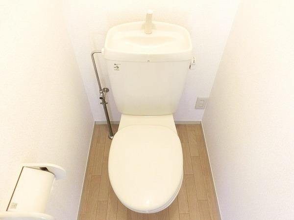 ハイカムール木下