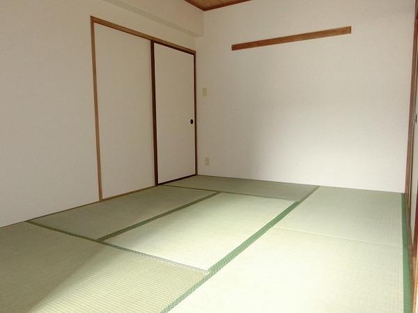 シャトレＫＴ