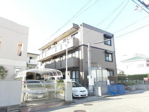 ハイカムール木下