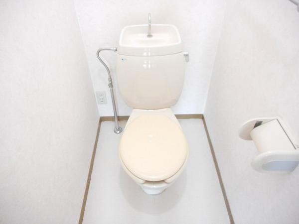 クレスト想