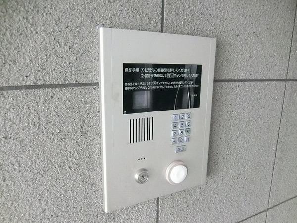 エストグリーン