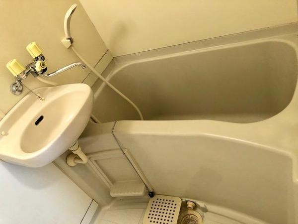 堺フェニックス