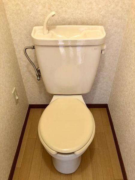 堺フェニックス