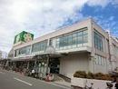 southern Lino(ライフ深井店)
