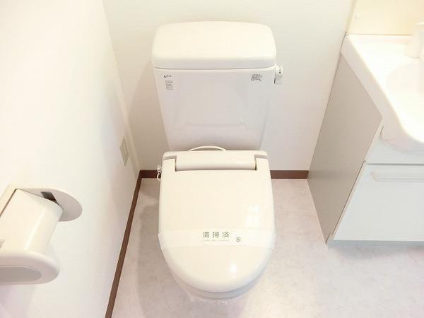プログレス　アペゼ