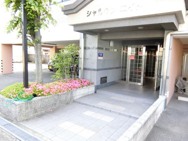 シャルマンエイト