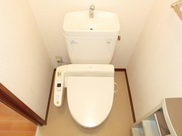 カーサ　ミーア
