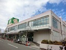 パラッツオ・アルモーニア(ライフ深井店)